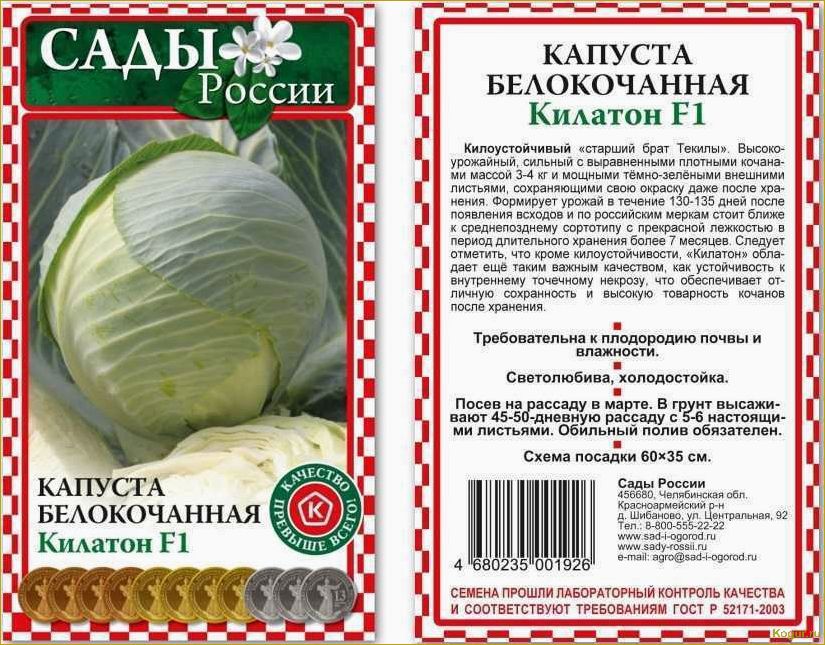 (капуста, подарок, классические, сорта, проверенное) Капуста Подарок: классические сорта и проверенное качество