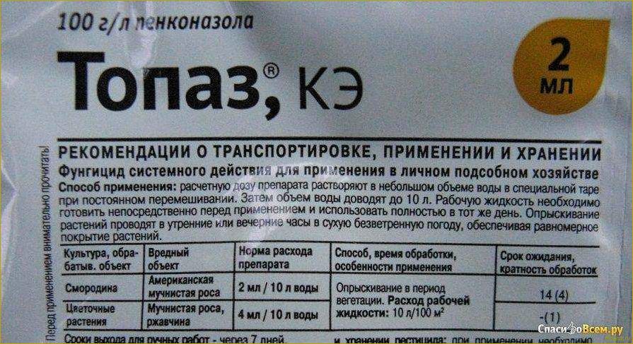 Выбираем фунгицид Топсин М для эффективной защиты растений от болезней