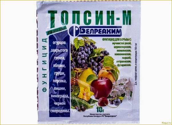 Выбираем фунгицид Топсин М для эффективной защиты растений от болезней