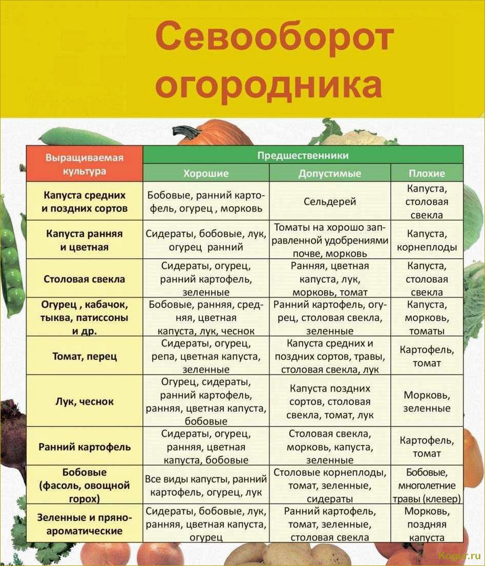 Выращивание томата Каспар на дачной грядке: секреты высокого урожая