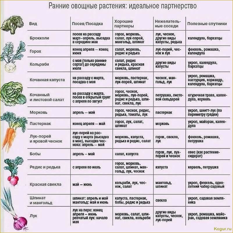 Выращивание томата Каспар на дачной грядке: секреты высокого урожая