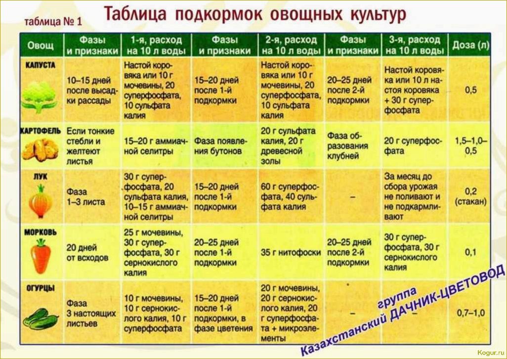 Выращивание томата Каспар на дачной грядке: секреты высокого урожая