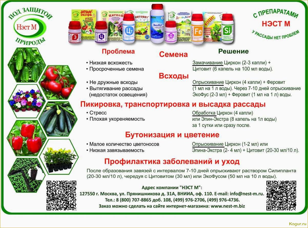 (препарат, эпин, экстра, назначение, применение) Препарат Эпин Экстра: назначение и применение