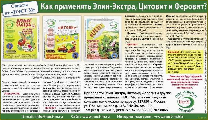 (препарат, эпин, экстра, назначение, применение) Препарат Эпин Экстра: назначение и применение