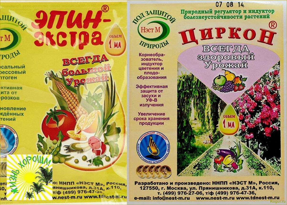 (препарат, эпин, экстра, назначение, применение) Препарат Эпин Экстра: назначение и применение