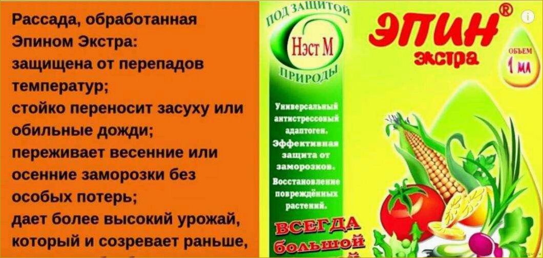 (препарат, эпин, экстра, назначение, применение) Препарат Эпин Экстра: назначение и применение
