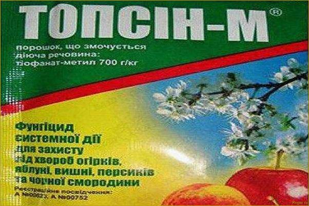 Выбираем фунгицид Топсин М для эффективной защиты растений от болезней