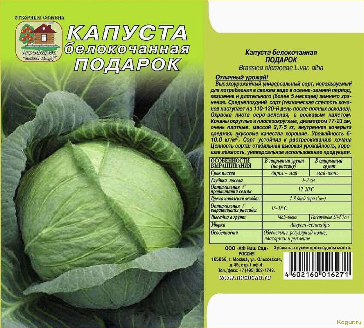 (капуста, подарок, классические, сорта, проверенное) Капуста Подарок: классические сорта и проверенное качество