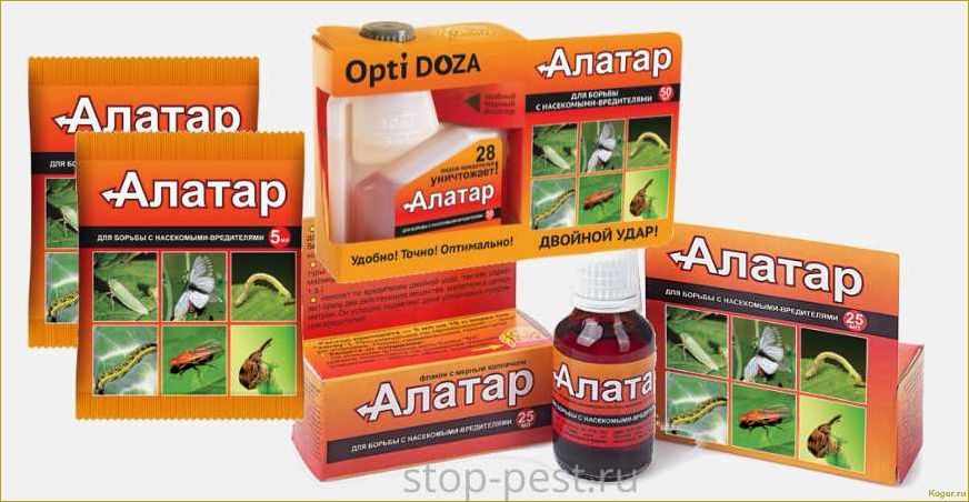 Инсектицид «Алатар»: инструкция по применению или ориентир на вредителя