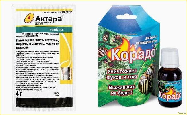 (инсектицид, табу, колорадского, жука, лучшая) Инсектицид Табу от колорадского жука — лучшая защита ваших корнеплодов