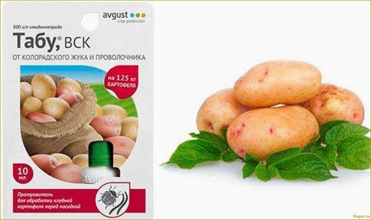 (инсектицид, табу, колорадского, жука, лучшая) Инсектицид Табу от колорадского жука — лучшая защита ваших корнеплодов