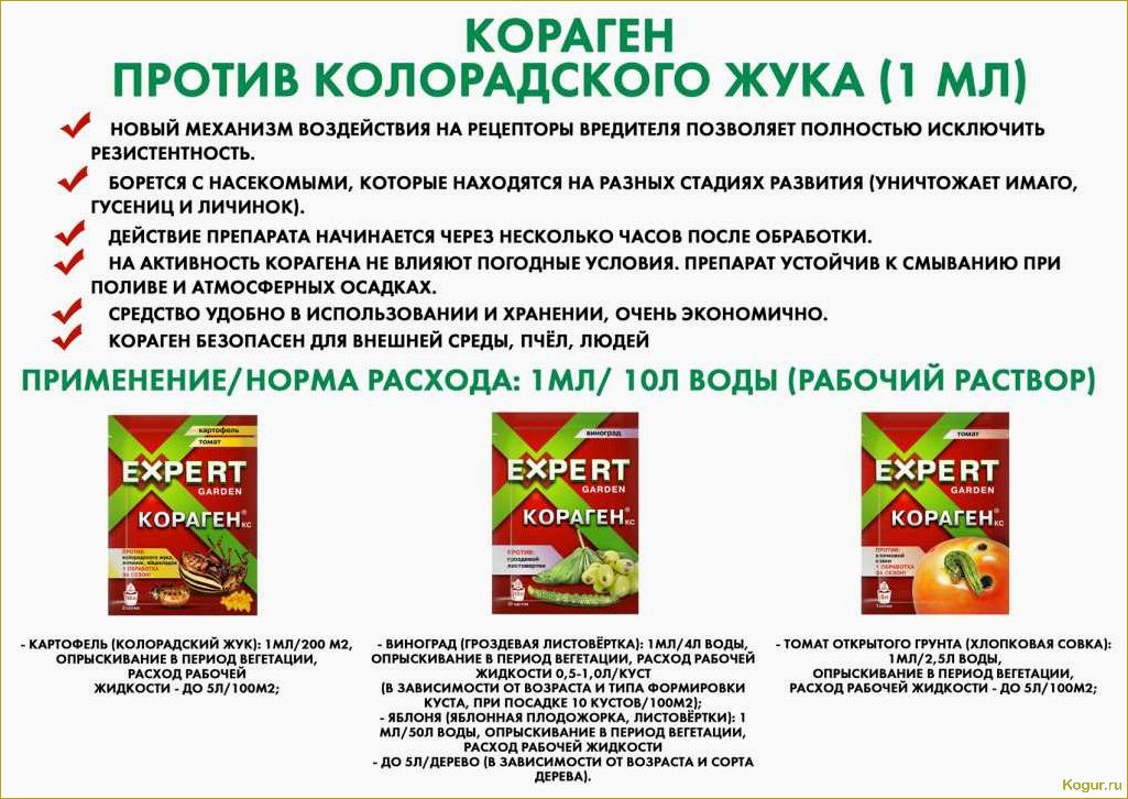 (инсектицид, табу, колорадского, жука, лучшая) Инсектицид Табу от колорадского жука — лучшая защита ваших корнеплодов
