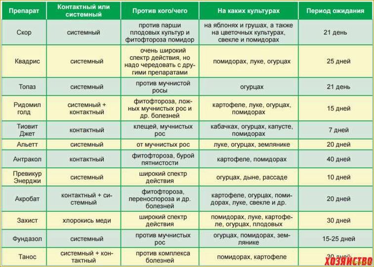 (инсектицид, табу, колорадского, жука, лучшая) Инсектицид Табу от колорадского жука — лучшая защита ваших корнеплодов