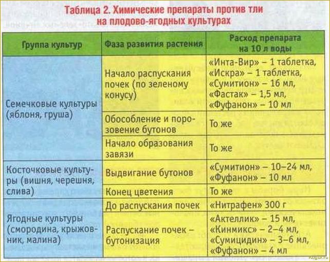 Список и особенности применения инсектицидов системного действия для защиты плодовых деревьев