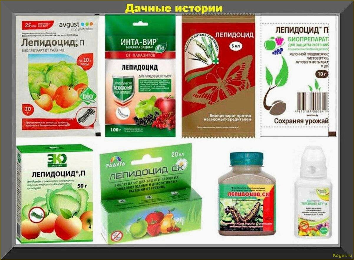 Список и особенности применения инсектицидов системного действия для защиты плодовых деревьев