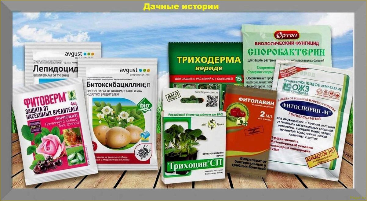 Список и особенности применения инсектицидов системного действия для защиты плодовых деревьев