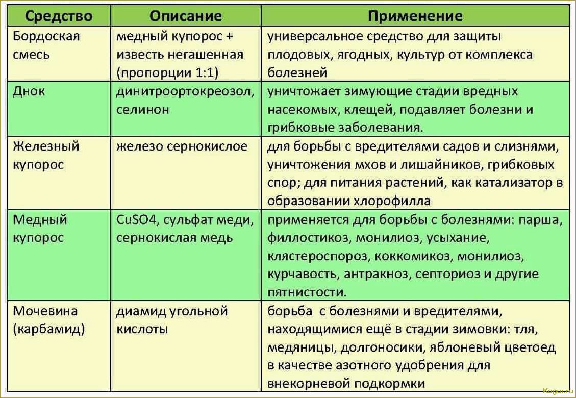 Список и особенности применения инсектицидов системного действия для защиты плодовых деревьев