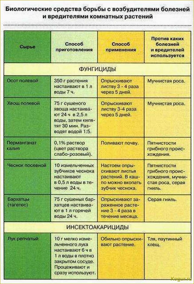 Список и особенности применения инсектицидов системного действия для защиты плодовых деревьев