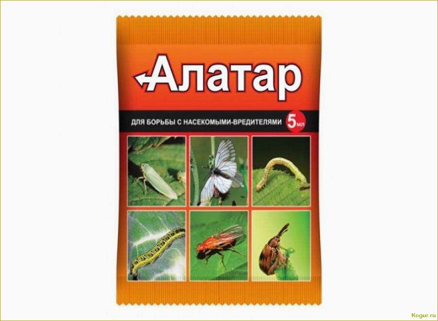 Инсектицид «Алатар»: инструкция по применению или ориентир на вредителя