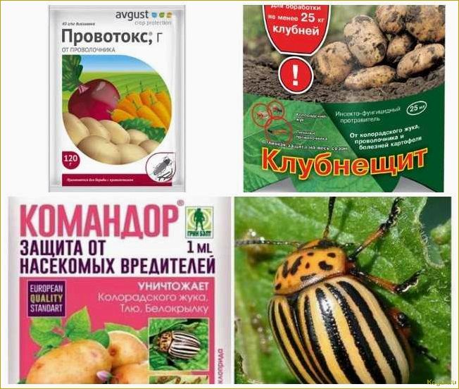 (инсектицид, табу, колорадского, жука, лучшая) Инсектицид Табу от колорадского жука — лучшая защита ваших корнеплодов