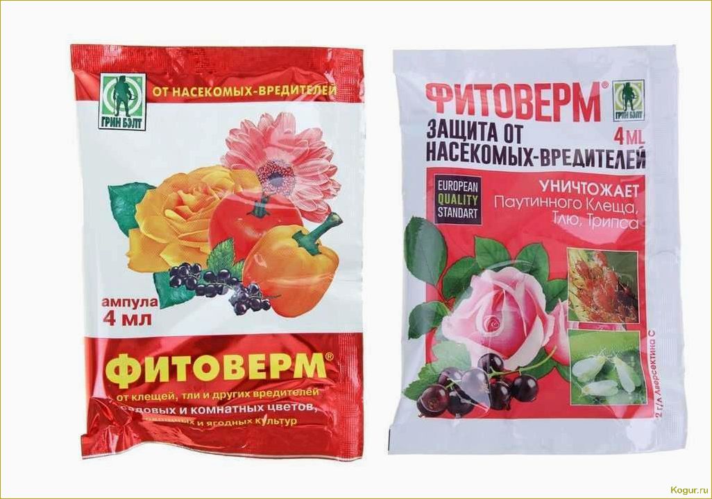 (использовать, фитоверм, достижения, лучших, результатов) Как использовать Фитоверм для достижения лучших результатов при выращивании овощей и цветов