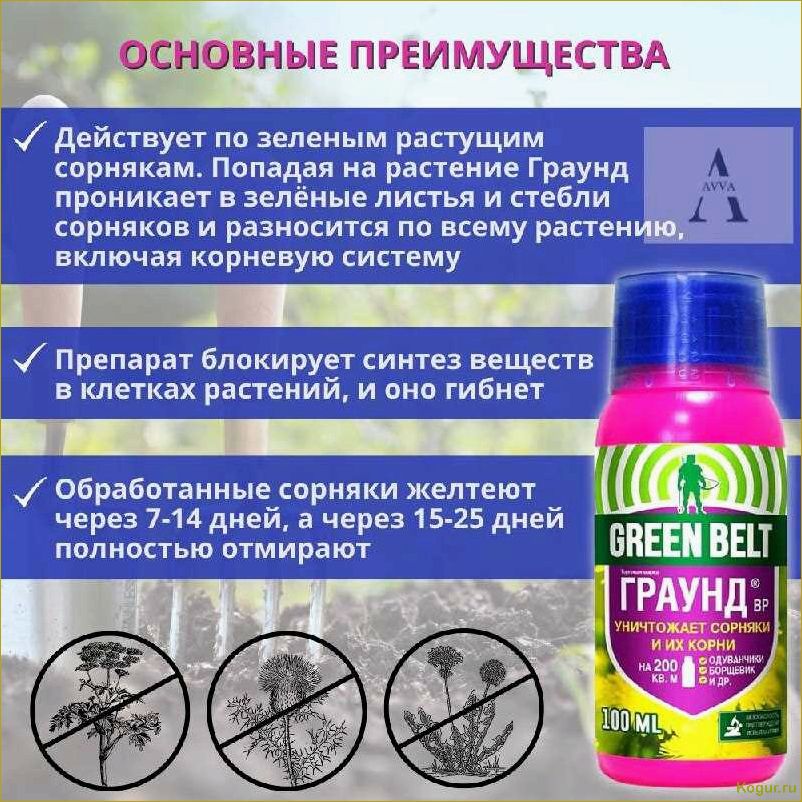 (граунд, сорняков, подробное, руководство, применению) Граунд от сорняков: подробное руководство по применению, описание, характеристики и рекомендации по дозировке препарата