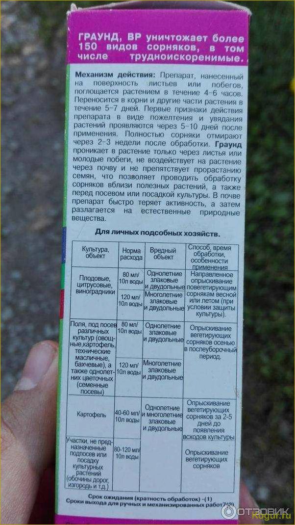 (граунд, сорняков, подробное, руководство, применению) Граунд от сорняков: подробное руководство по применению, описание, характеристики и рекомендации по дозировке препарата