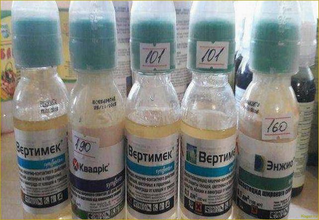 Инструкция по применению инсектицида Энжио