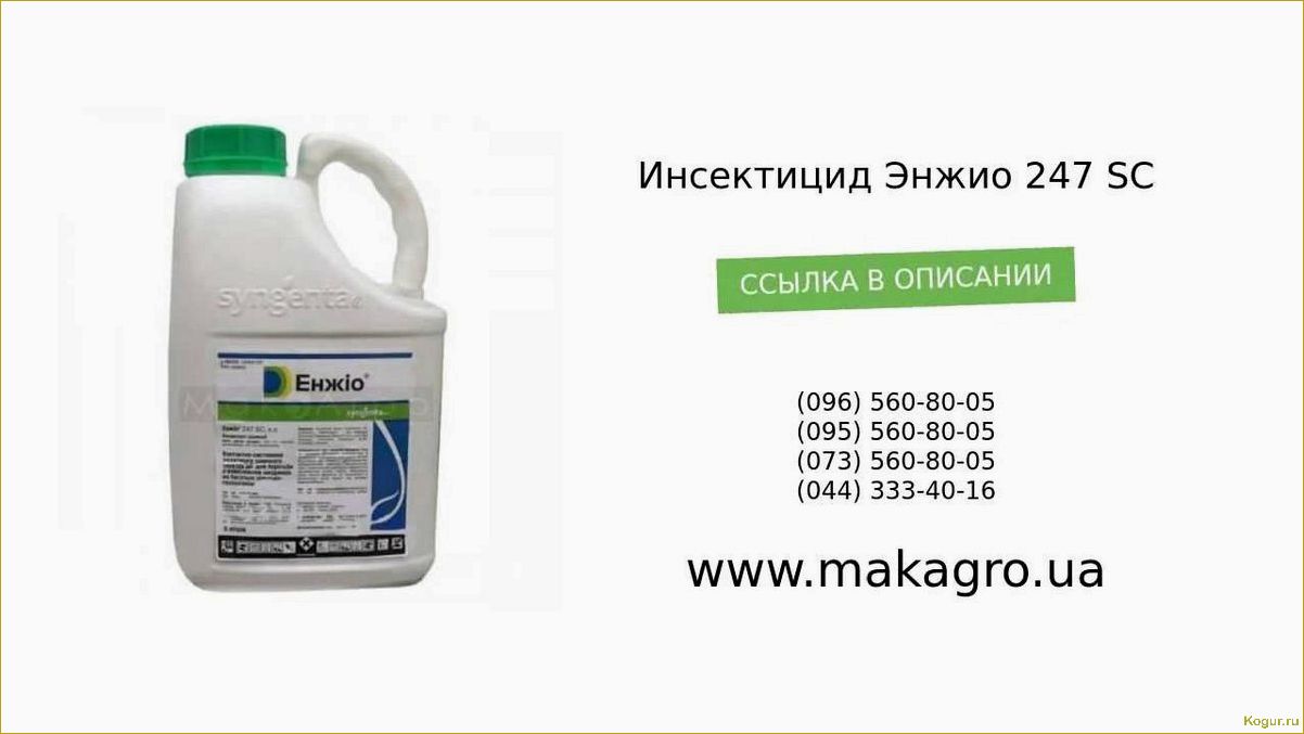 Инструкция по применению инсектицида Энжио