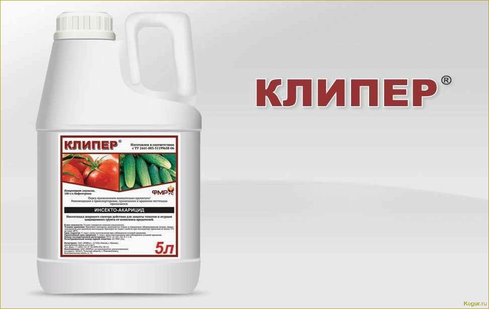(правильно, использовать, инсектицид, клипер, подробная) Как правильно использовать инсектицид Клипер: подробная инструкция
