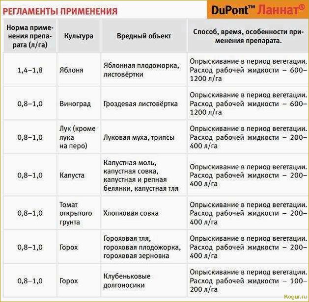 (правильно, использовать, инсектицид, клипер, подробная) Как правильно использовать инсектицид Клипер: подробная инструкция