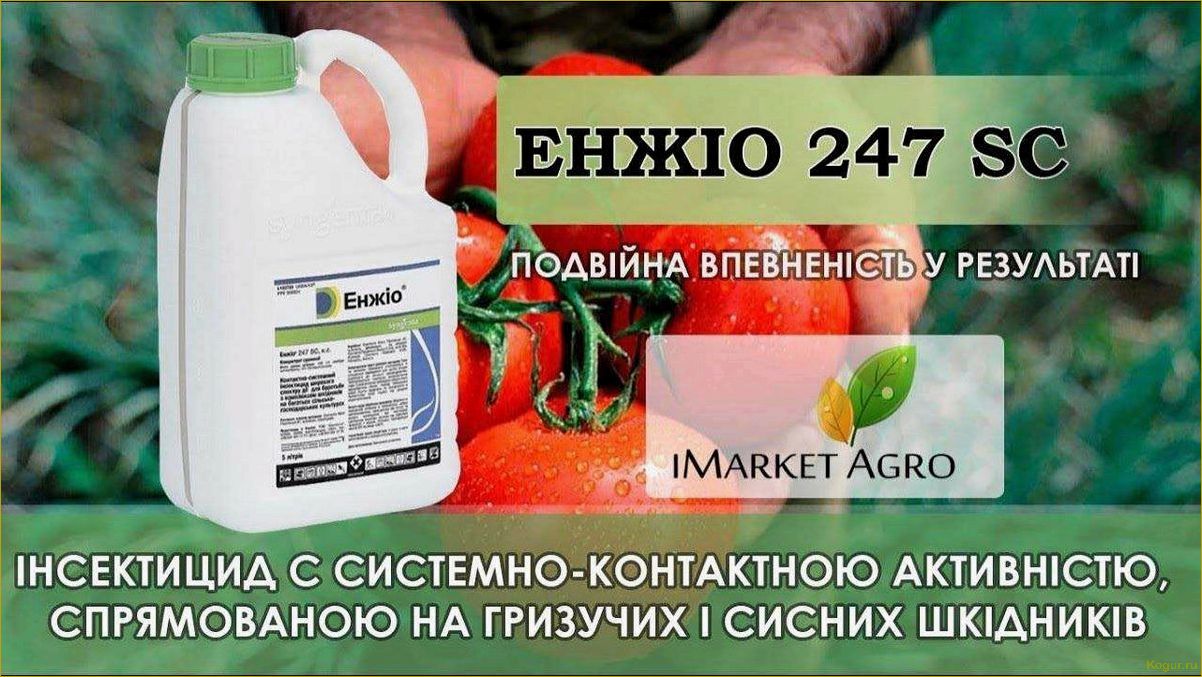 Подробное руководство по использованию инсектицида Оперкот Акро для борьбы с насекомыми