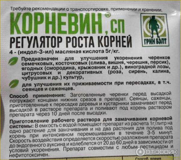Инструкция по применению биостимулятора растений Корневин