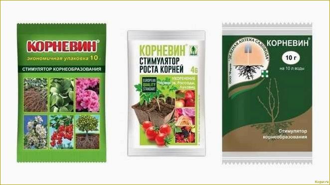 Инструкция по применению биостимулятора растений Корневин