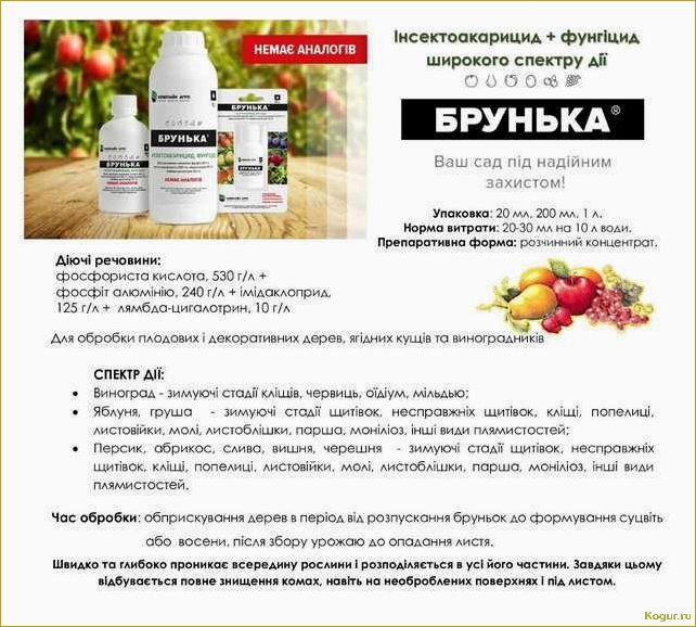 (инструкция, применению, препарата, брунька, деревьев) Инструкция по применению препарата Брунька для деревьев