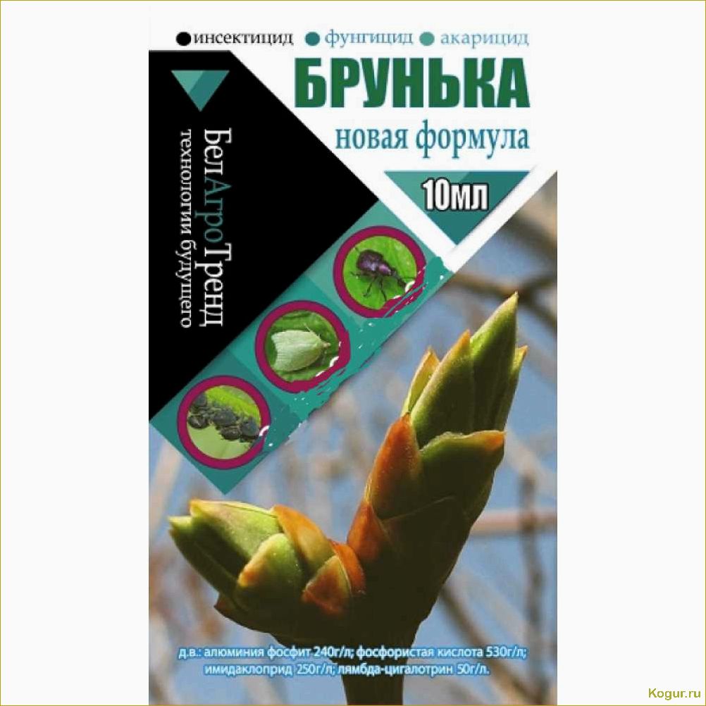 (инструкция, применению, препарата, брунька, деревьев) Инструкция по применению препарата Брунька для деревьев