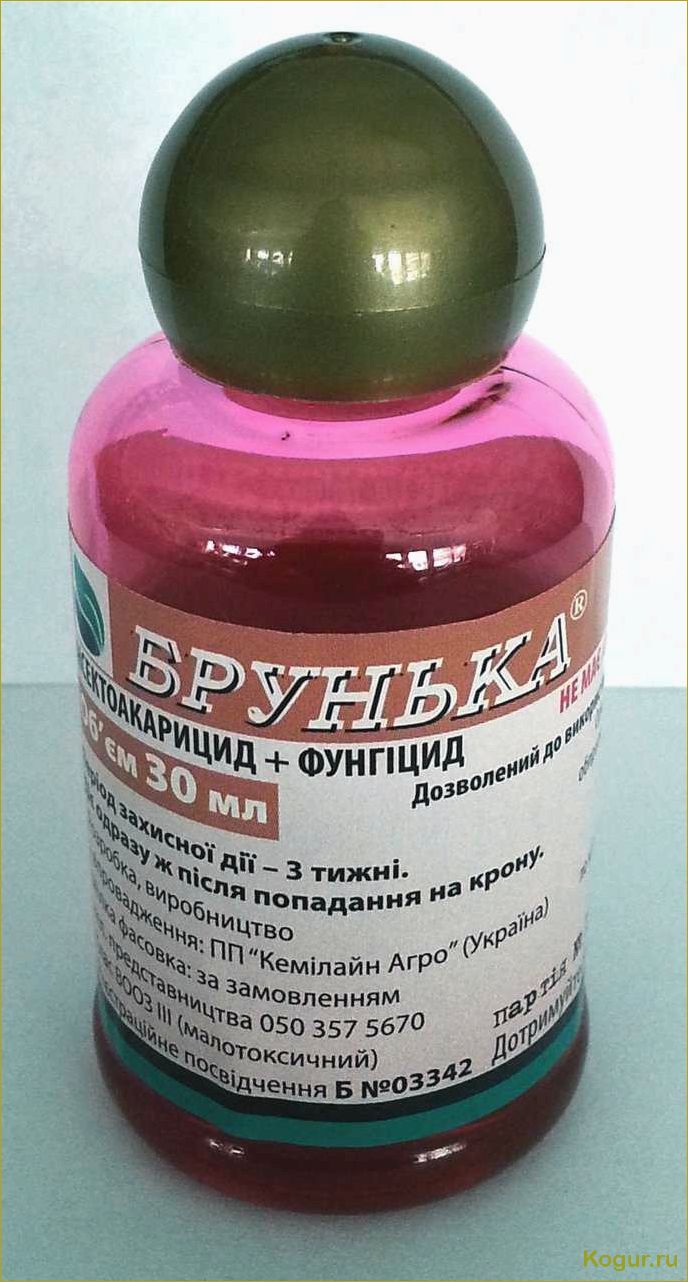 (инструкция, применению, препарата, брунька, деревьев) Инструкция по применению препарата Брунька для деревьев
