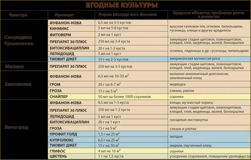 (инструкция, применению, препарата, ордан, защиты) Инструкция по применению препарата Ордан для защиты огородных растений
