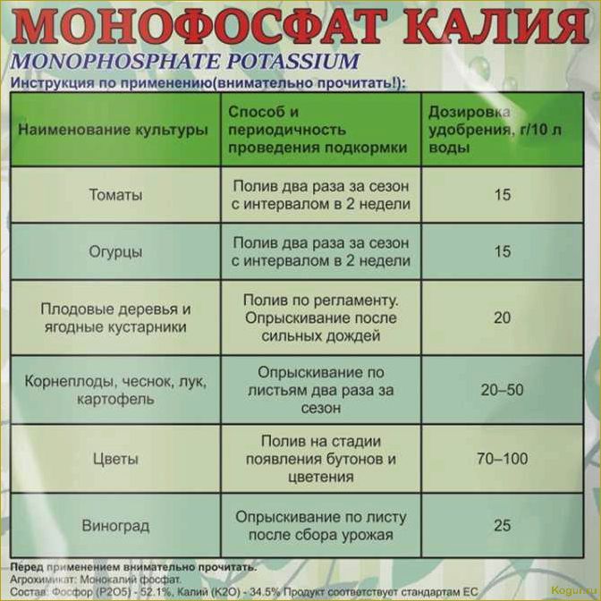 (инструкция, применению, препарата, ордан, защиты) Инструкция по применению препарата Ордан для защиты огородных растений