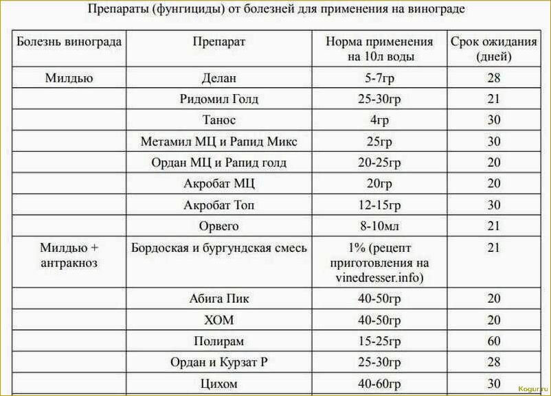 (инструкция, применению, препарата, ордан, защиты) Инструкция по применению препарата Ордан для защиты огородных растений