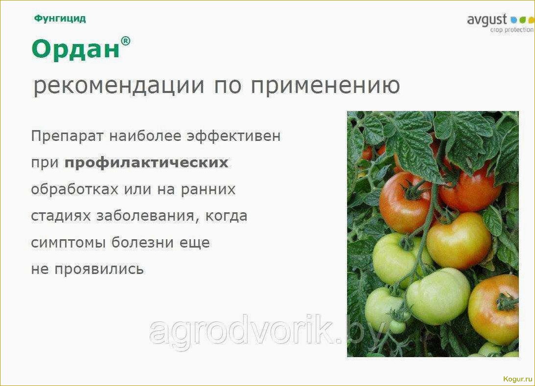 (инструкция, применению, препарата, ордан, защиты) Инструкция по применению препарата Ордан для защиты огородных растений