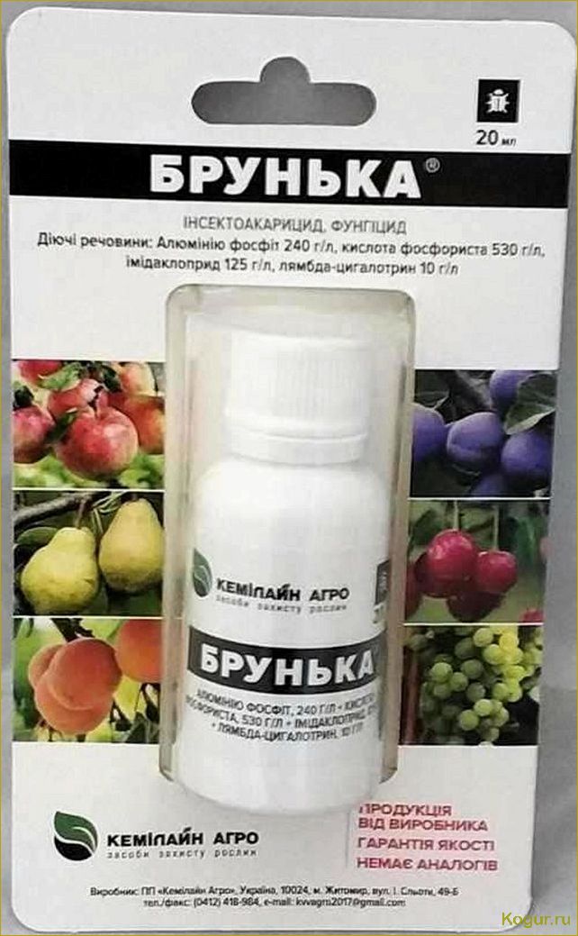 (инструкция, применению, препарата, брунька, деревьев) Инструкция по применению препарата Брунька для деревьев