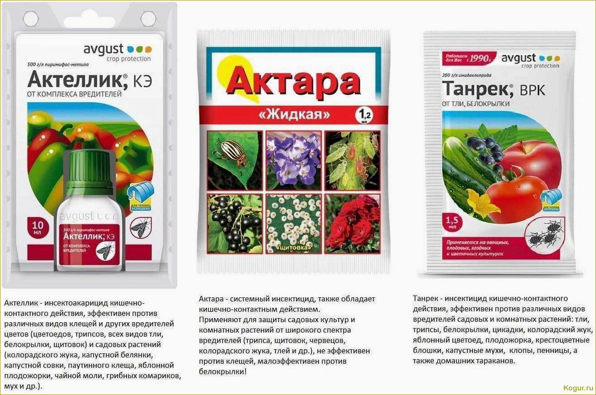 (инструкция, применению, препарата, танрек, основные) Инструкция по применению препарата Танрек — основные правила работы с инсектицидом