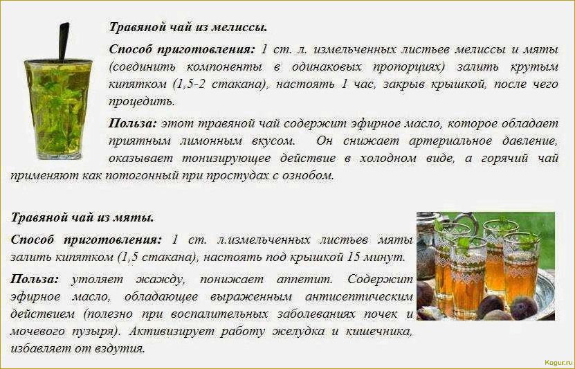 Влияние мяты на здоровье: исследование ее полезных свойств для организма