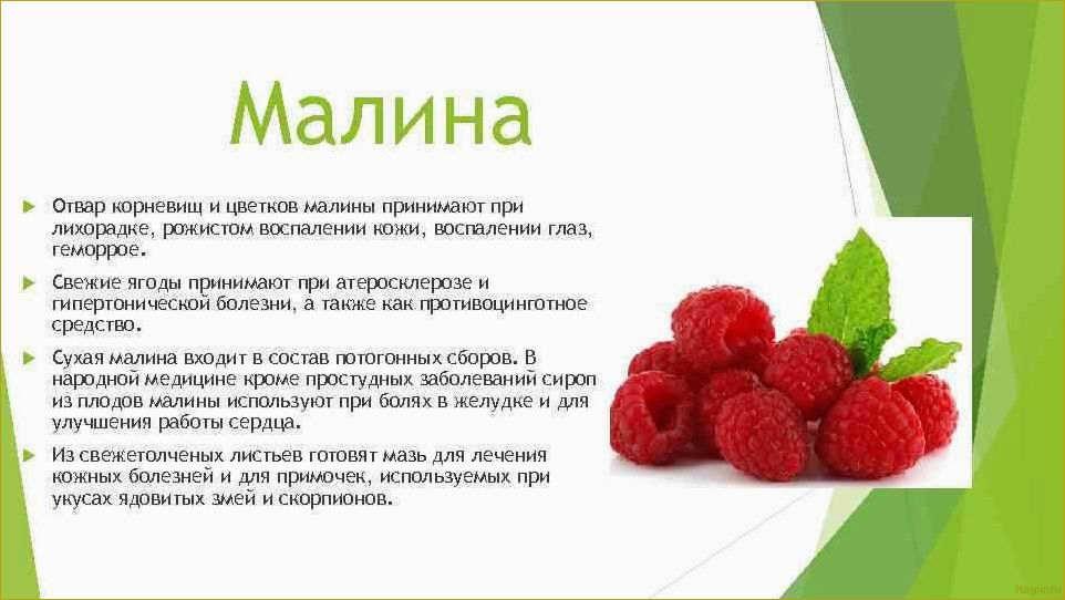 Полезные свойства черной малины: изучаем все преимущества