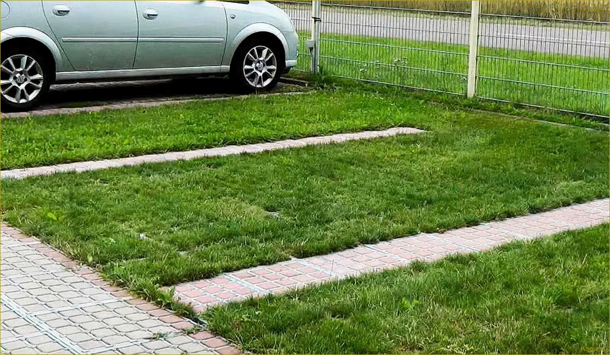 Эко-парковка на загородном участке: обустраиваем дачный зеленый паркинг