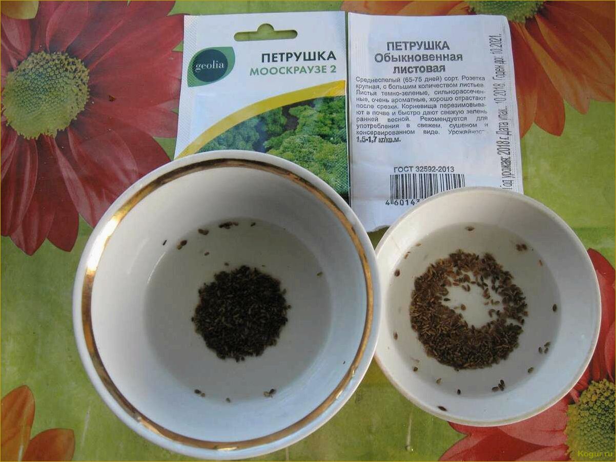 Как быстро прорастить семена моркови