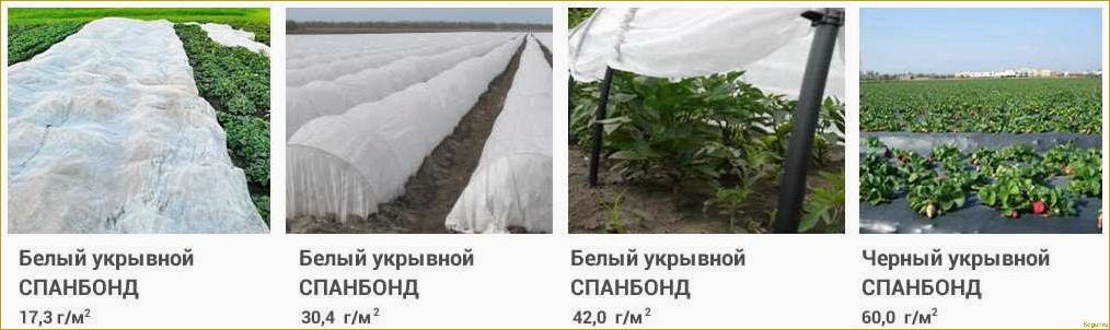 Спанбонд, агроспанбонд. Особенности, преимущества, выбор.