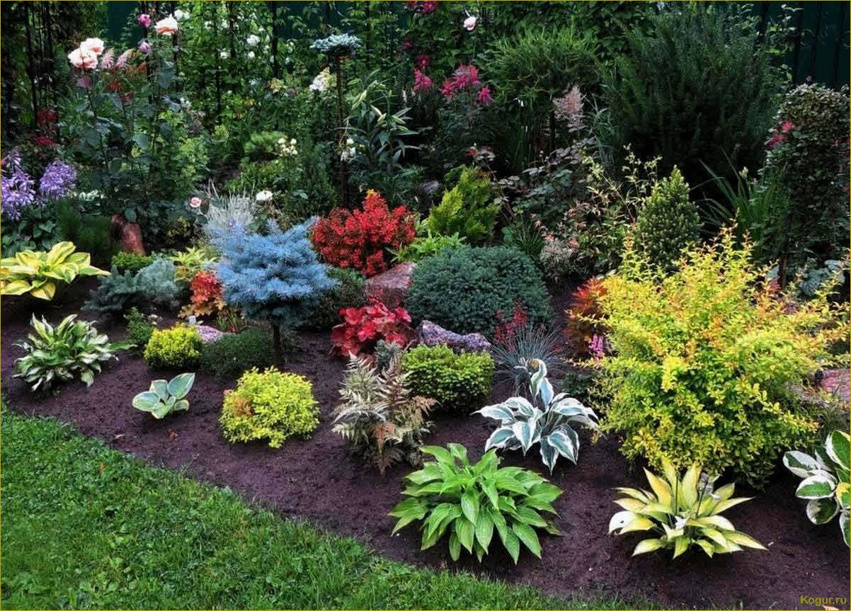 (уроки, садоводства, дедушки, правильная, посадка) Уроки садоводства от дедушки: правильная посадка многолетних цветов