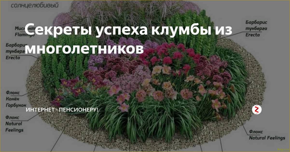 (уроки, садоводства, дедушки, правильная, посадка) Уроки садоводства от дедушки: правильная посадка многолетних цветов